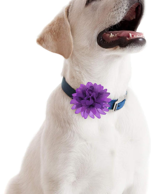 Load image into Gallery viewer, 20 Pieces Dog Collar Flowers Pet Flower Bow Ties Multi-Color Dog Charms Flower for Puppy Dog Collar Grooming Accessories (12 Cm/ 4.7 Inch)
