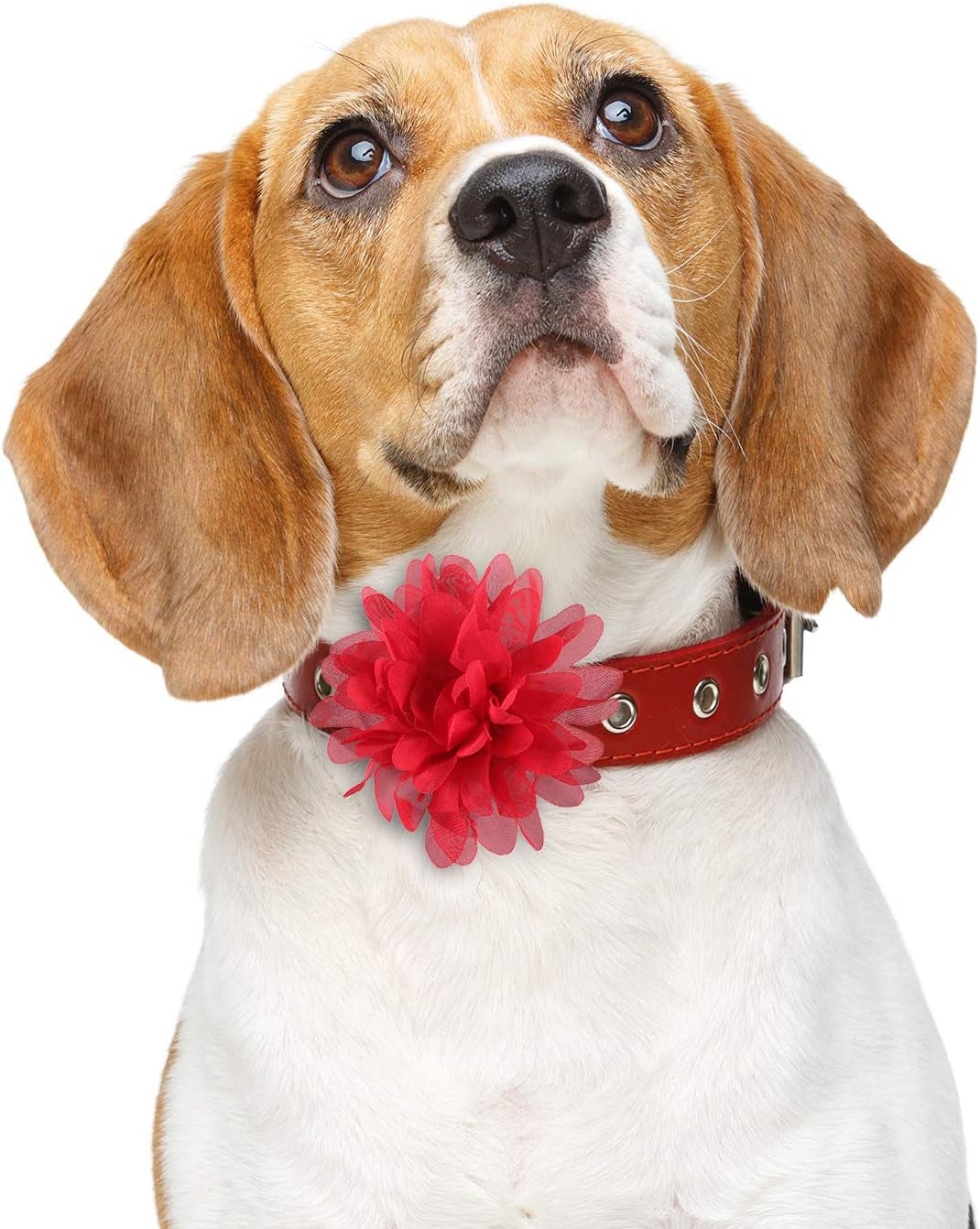 20 Pieces Dog Collar Flowers Pet Flower Bow Ties Multi-Color Dog Charms Flower for Puppy Dog Collar Grooming Accessories (12 Cm/ 4.7 Inch)